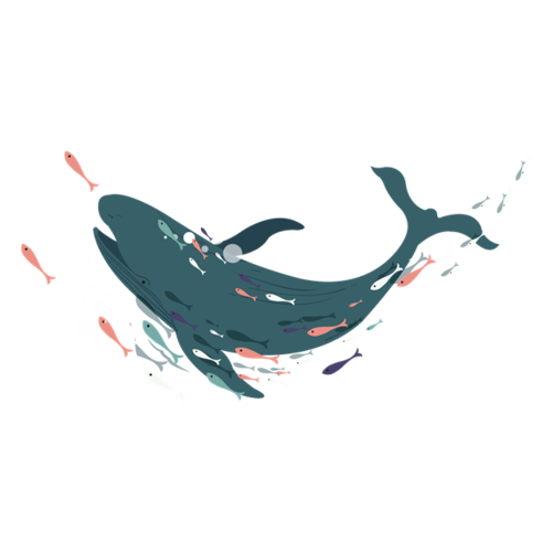 海豚嬉戏