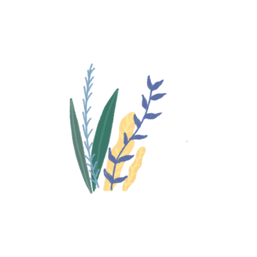 水彩手绘植物装饰