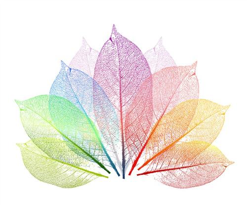 彩色透明树叶矢量图