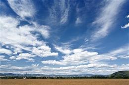 草地蓝天白云背景图片