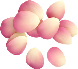 粉色桃花花瓣