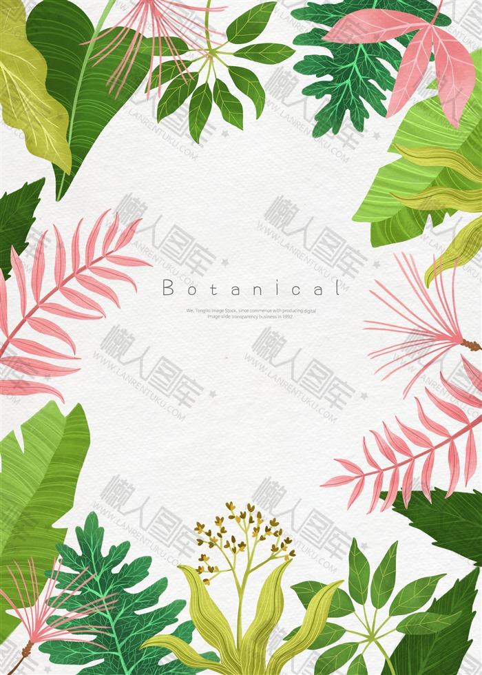 热带植物手绘背景图片