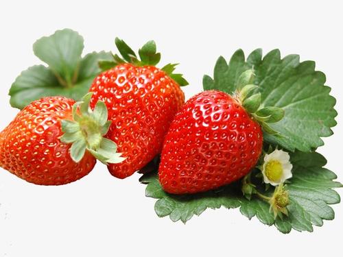 冬季奶油草莓