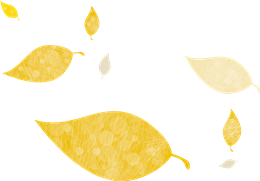 漂浮黄色树叶素材