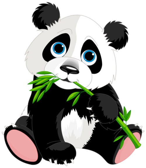 手绘可爱熊猫吃竹叶插画