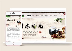 古典中国风健康养生网站模板