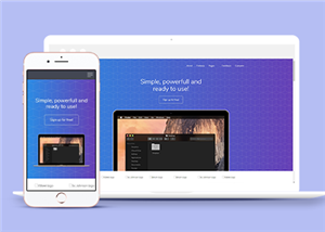 紫色渐变软件开发公司单页网站模板