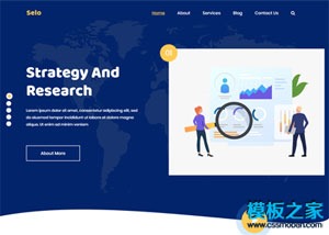 Seo数据分析营销团队网站模板