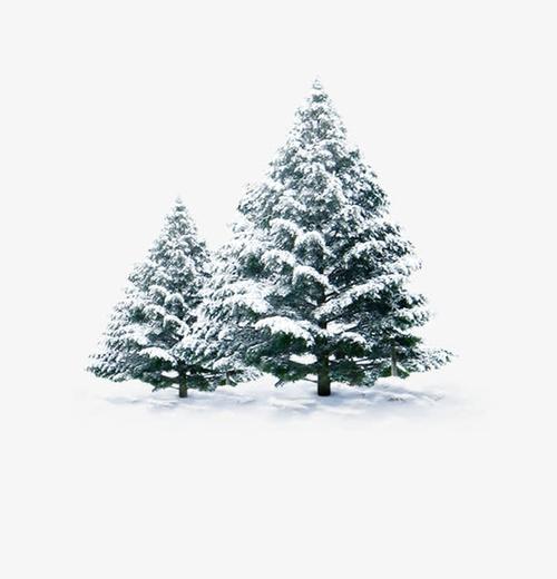 下雪圣诞树