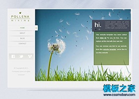绿色植物迷你网页模板