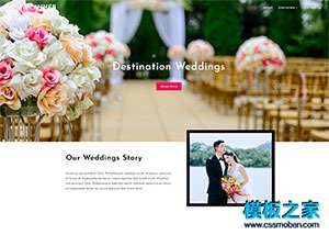 婚礼请柬设计网站模板