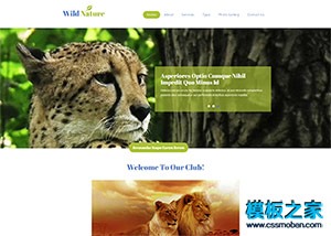 野生动物园官网企业模板