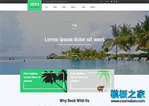 沙滩海岛旅游网站模板