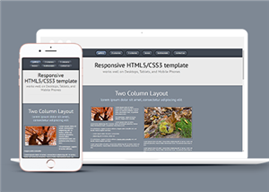 响应式CSS3单页网站模板