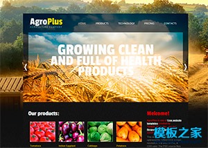 金色农业农场企业网站模板