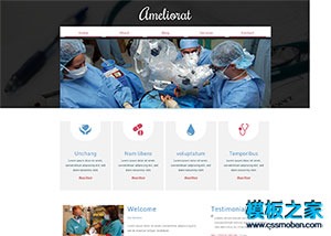 医疗器械产品外贸企业网站模板
