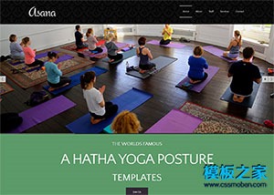 瑜伽spa运动馆网站模板