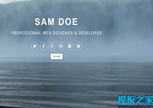 开发设计师页面设计模板