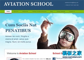 培训学校网站模板