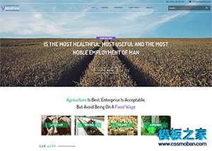 牛奶牧场企业网站模板