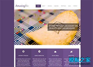 紫色简洁标准商务公司企业网站模板
