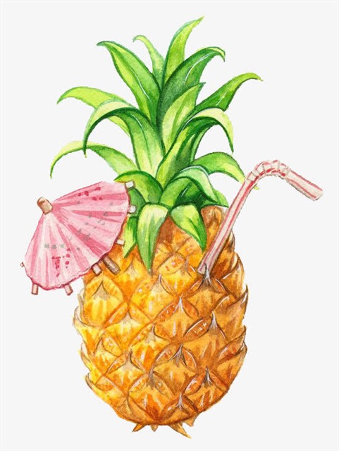 手绘卡通菠萝凤梨