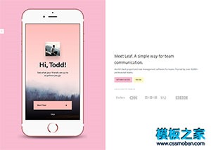 粉色app软件应用下载官网页面模板
