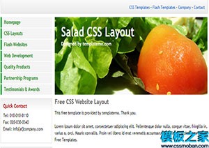 salad单页web网站模板