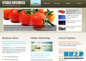 棕色商务企业网站模板