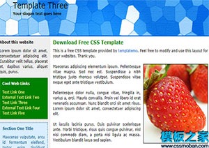 蓝色页眉web水果蔬菜网站模板
