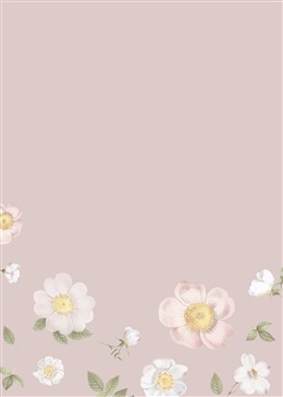 清新花卉手机壁纸