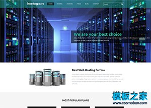 网络虚拟空间host企业网站模板