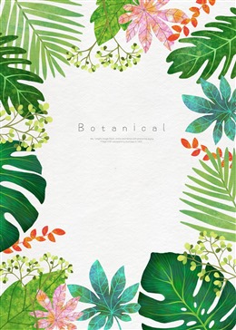 热带植物封面图