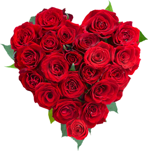 红玫瑰拼成的爱心