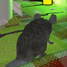 老鼠模拟器无限资源版