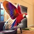 宠物鹦鹉模拟器游戏图标