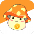 生钱蘑菇app官方版