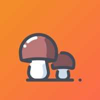 小蘑菇打字赚钱app