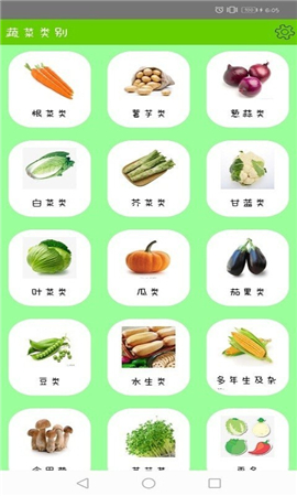 健康绿蔬图2