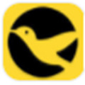 啄木鸟任务网赚钱版