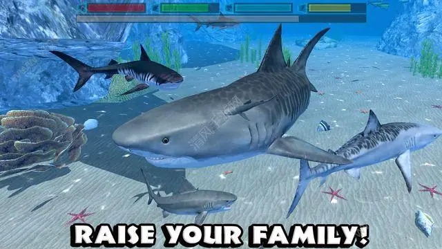 终极鲨鱼模拟器