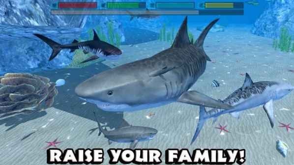终极鲨鱼模拟器无敌版图3
