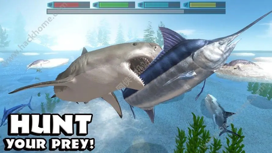 鲨鱼模拟游戏