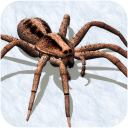蜘蛛模拟器中文版游戏图标