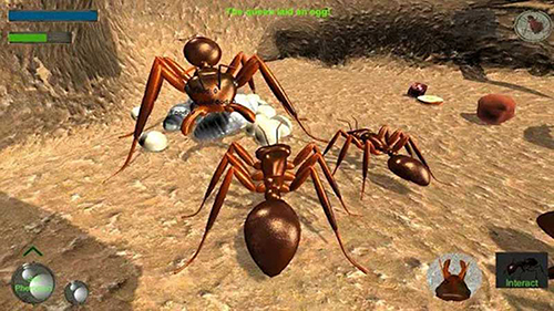 模拟蚂蚁的游戏
